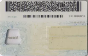 Thumbnail 2 for New Yory-old